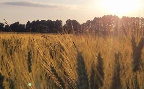Stajnia Tarnowo Pałuckie